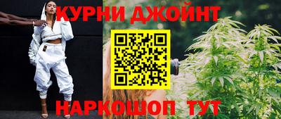 сатива Кулебаки